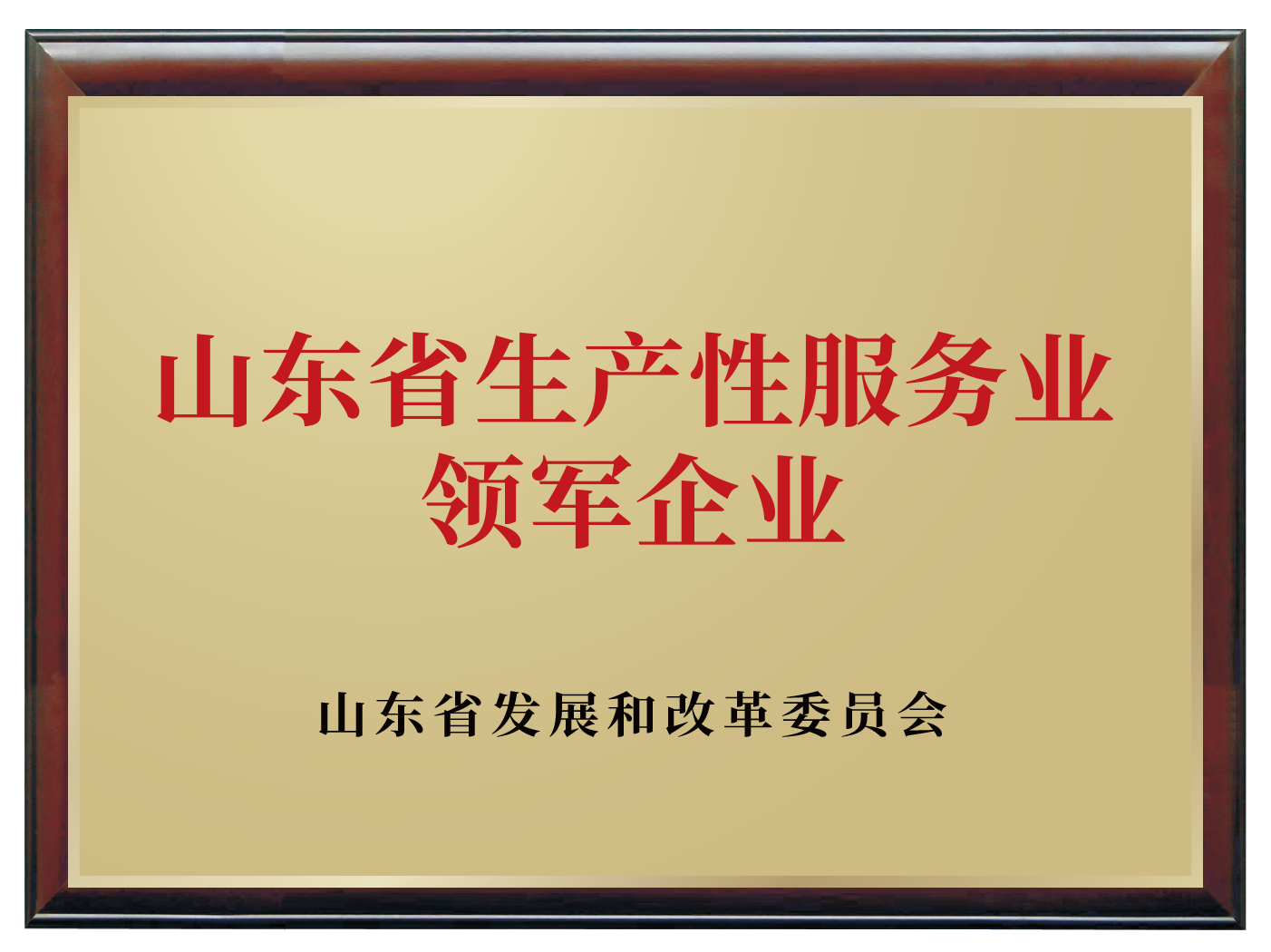 山东省生产性服务业领军企业