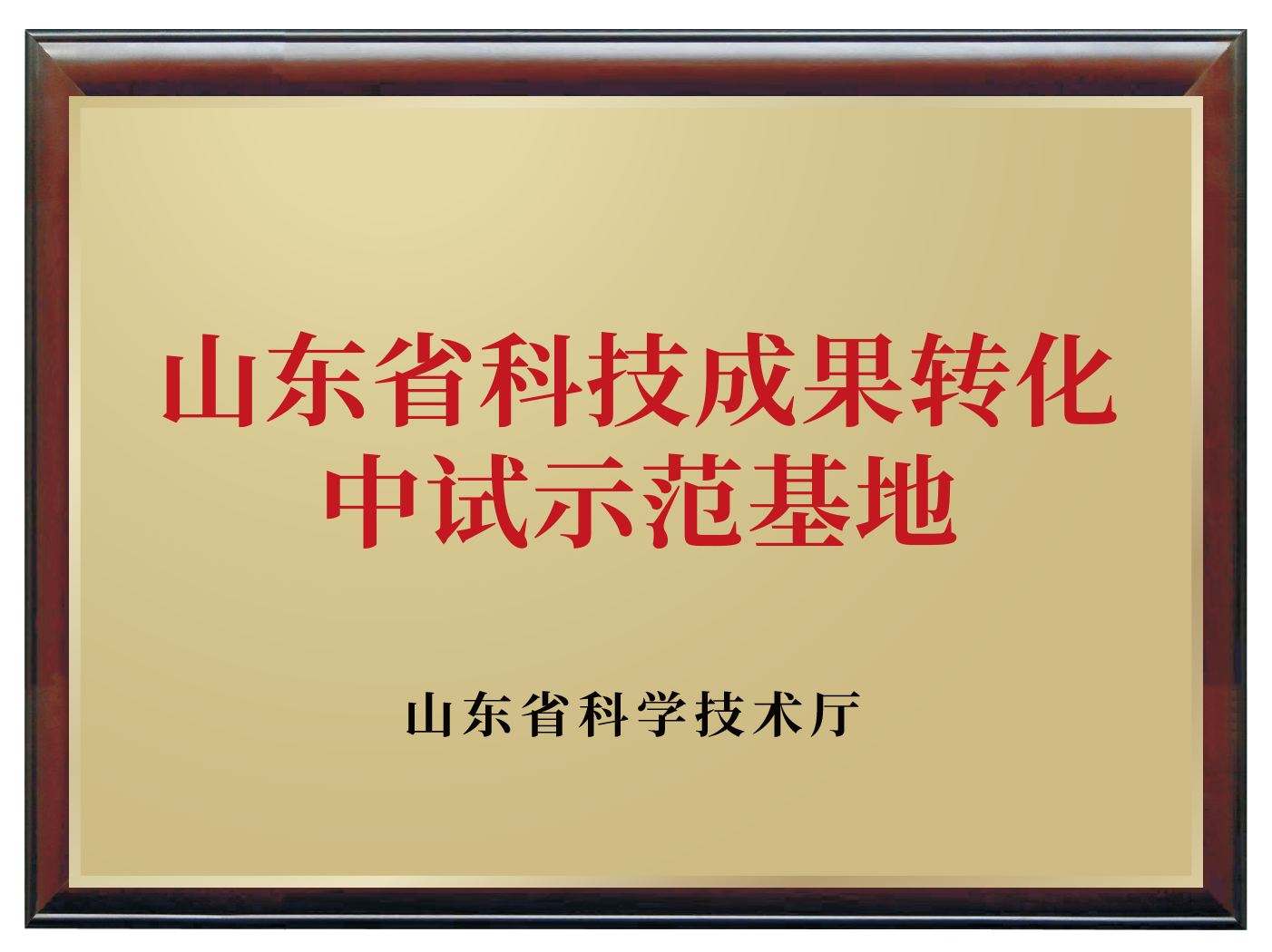 山东省科技成果转化中试示范基地.png