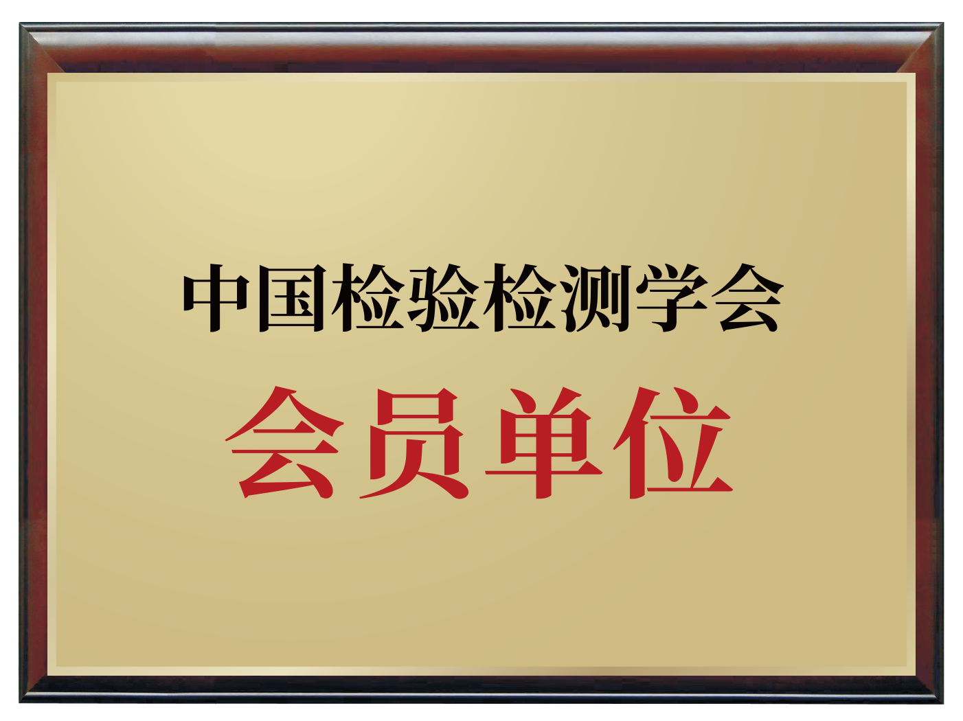 中国检验检测学会会员单位.png
